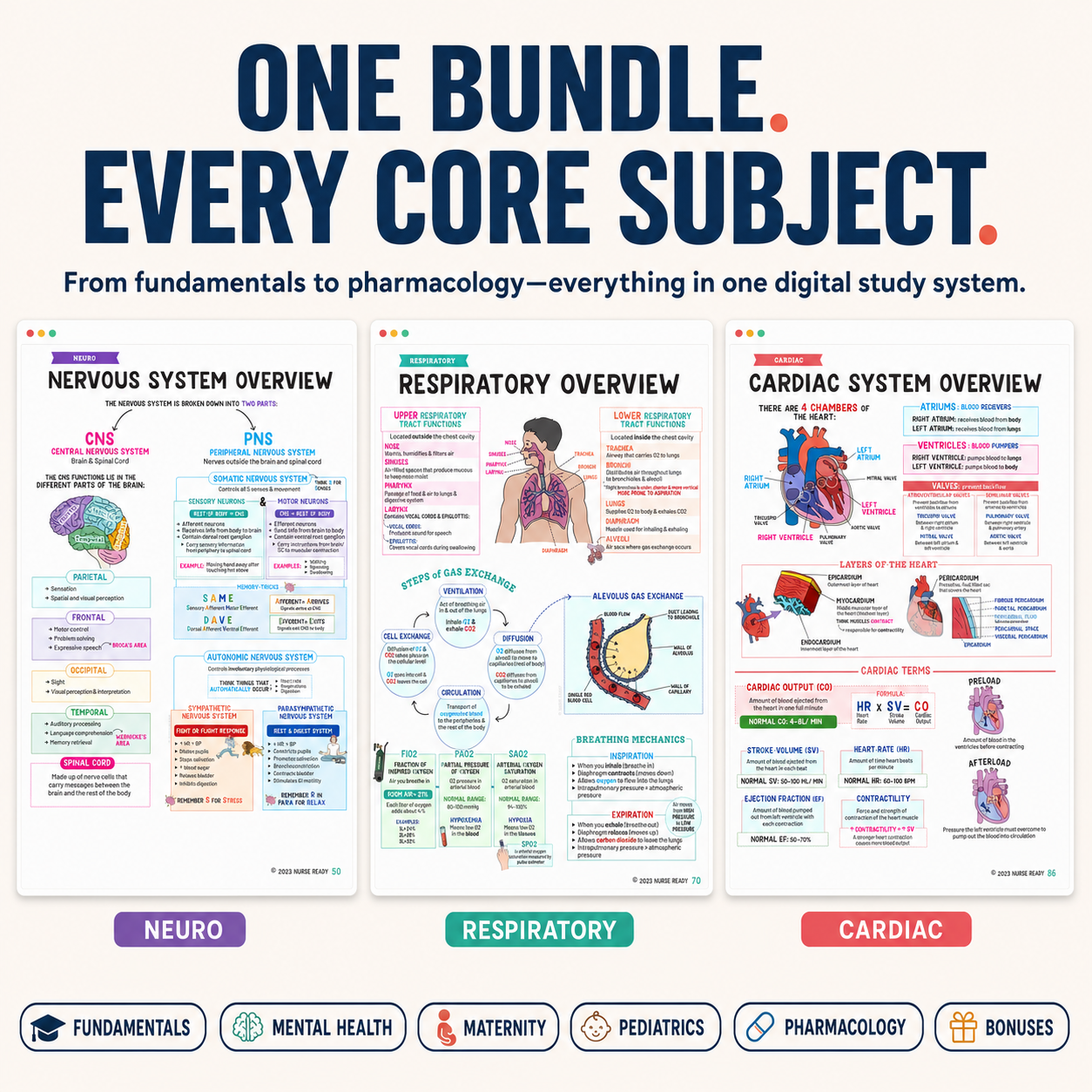Resetiva™ Nursing School Success Bundle